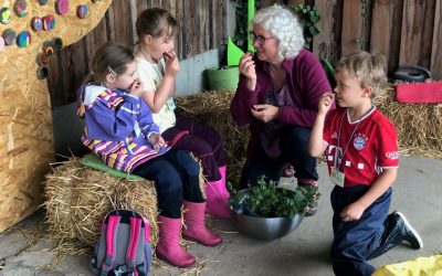 Das Frühling-Sommer-Programm